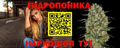 гидра Лесосибирск