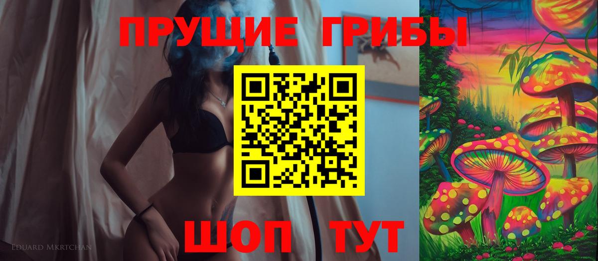 Вольск  Галлюциногенные грибы Psilocybine cubensis  Вход с VPN 